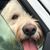 Mickie-Debbie Baiera's profile image