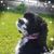 Marilyn Norton's profile image