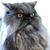 Chris Smith's profile image