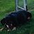 Michelle Hoefl Zak's profile image