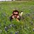 Paul Schaab's profile image
