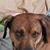 April Dager's profile image