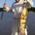 Milton Fielding's profile image