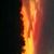 Kimberly Saunders's profile image