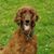 Brook D Wood's profile image