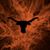 Dolores Ann Lopez Aguilar's profile image