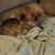 James Craig Heath's profile image