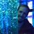 M. Daniel Allman's profile image