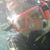 Victoria Johnson's profile image