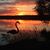 Ron Kowalczyk's profile image