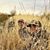 Walker Carrell-Shook's profile image