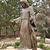 Dixie Swasey's profile image