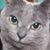 Carolyn Harris's profile image
