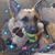 Pat Clark's profile image