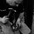 Chris Diehl Cjf Awcf's profile image