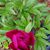 Rebecca Losh-Sitz's profile image