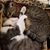 Joan Williams's profile image