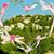 Mamoon Nimer's profile image