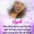 Judy Varner's profile image