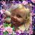 Debra Dunmire's profile image