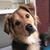 Kathy Frye's profile image