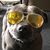Jules Melbourne's profile image