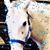 Joan Boudreau Walker's profile image