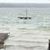Karen Nelson La Cross's profile image