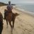 Eileen Hickman Dubecky's profile image