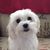 Susie Hendricks's profile image