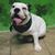 Jenean Sustarsic's profile image