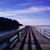 Cambria Fitzgerald Hurlimann's profile image