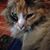 Elise Michelle Skovmand's profile image