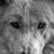Robin Huerta's profile image