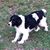 Pete Baker's profile image