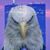 Richard Smuck's profile image