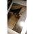 Edgar A Madrid's profile image
