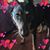 Vikki Heuman's profile image