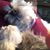 Gail Treml's profile image