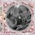 Linda Kocsis Allphin's profile image