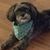 Kevin Ledford's profile image