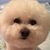 MaryEllen Geiger's profile image