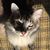 Carolyn King's profile image