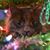 Sue Hayes's profile image