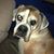 Karen Beery's profile image