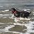 Kathy Hieb's profile image