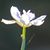 Ann Fox's profile image