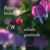 Nancy Van Wormer McGinnis's profile image
