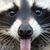 Chris Miranda White's profile image