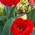 Bonnie Slee's profile image